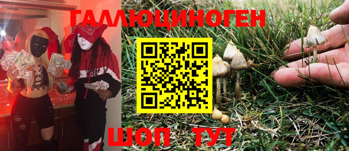 Галлюциногенные грибы Psilocybe Баксан