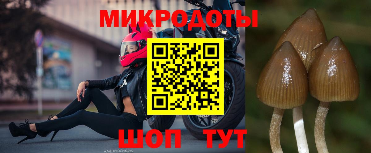 Баксан  Галлюциногенные грибы мухоморы  Вход с VPN 